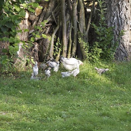 Holiday Home Ossa Basecamp Sint Odiliënberg 部屋 写真